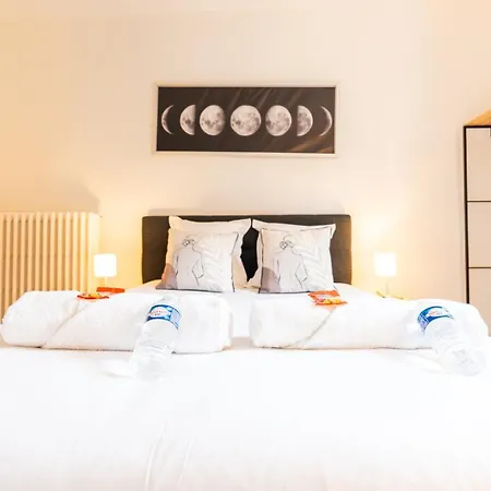 T2 Chic Et Confortable Au Centre D Épernay